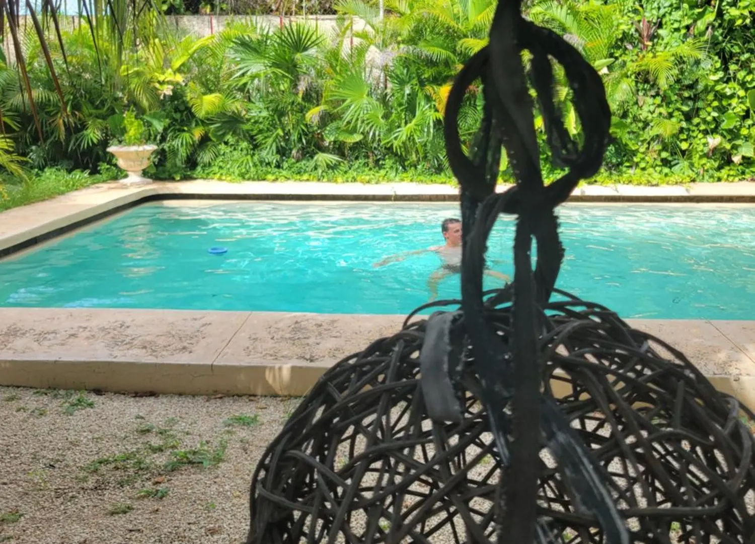 Blue Cat Merida Homestay