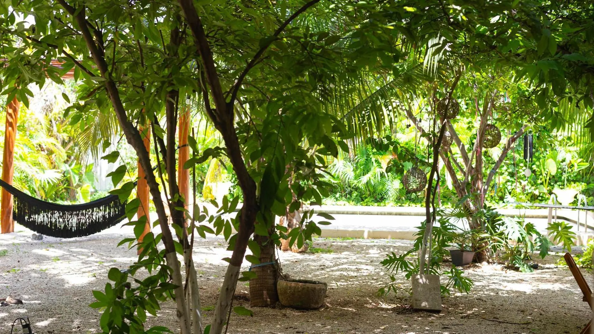 Homestay Blue Cat Merida